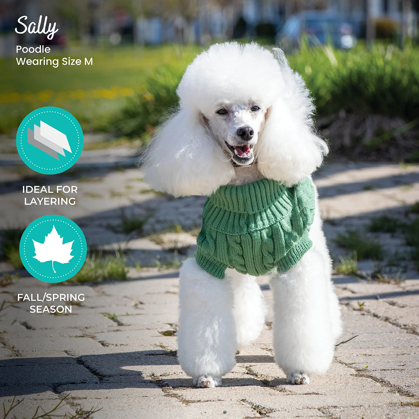 Product image 33