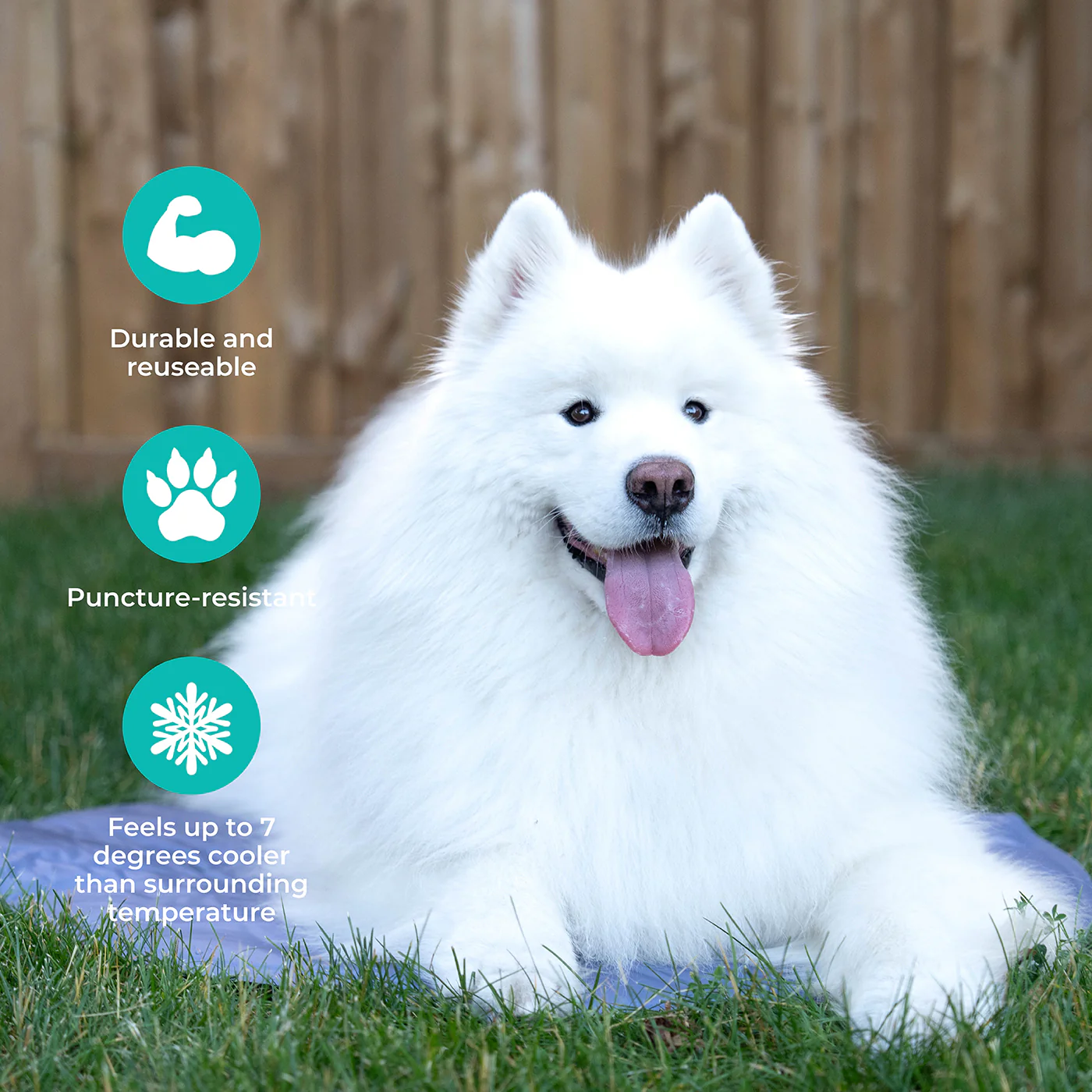 Product image 32